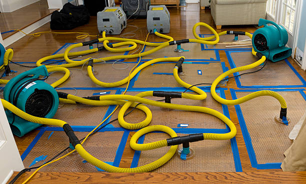 Professional Basement Flood Cleanup technician working in Saint Henry, OH